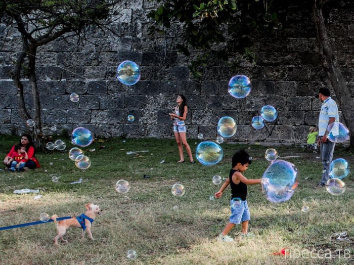 ������ ���������� National Geographic �� �������� 2013 (31 ����)