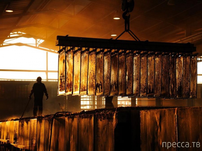 ������ ���������� National Geographic �� �������� 2013 (31 ����)