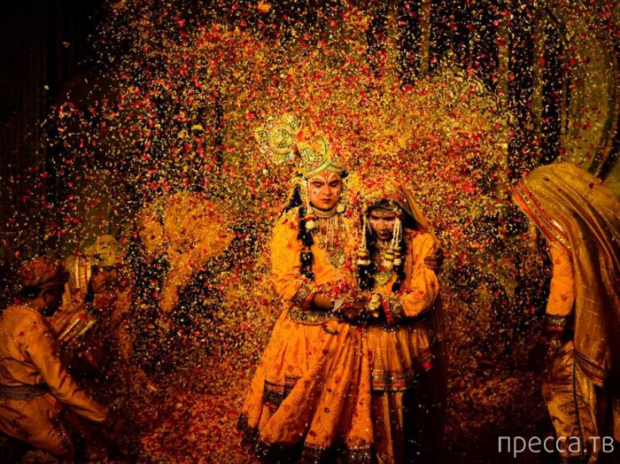 ������ ���������� National Geographic �� �������� 2013 (31 ����)