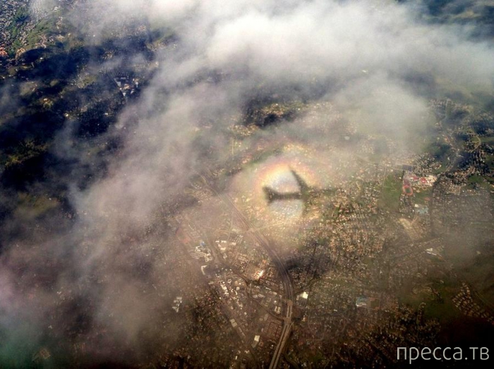 ������ ���������� National Geographic �� �������� 2013 (31 ����)