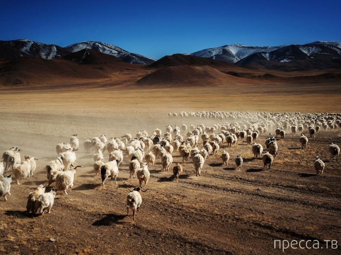 ������ ���������� National Geographic �� �������� 2013 (31 ����)