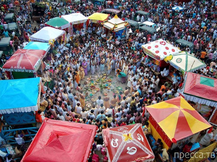 ������ ���������� National Geographic �� �������� 2013 (31 ����)