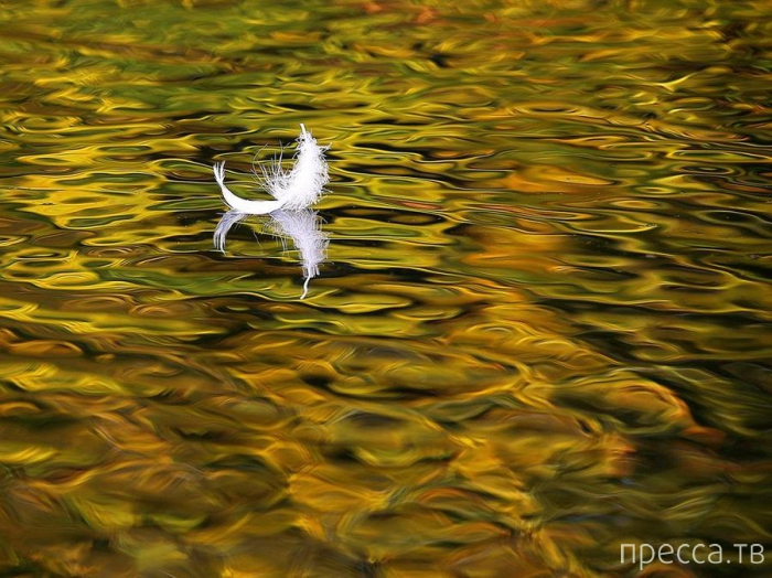 ������ ���������� National Geographic �� �������� 2013 (31 ����)