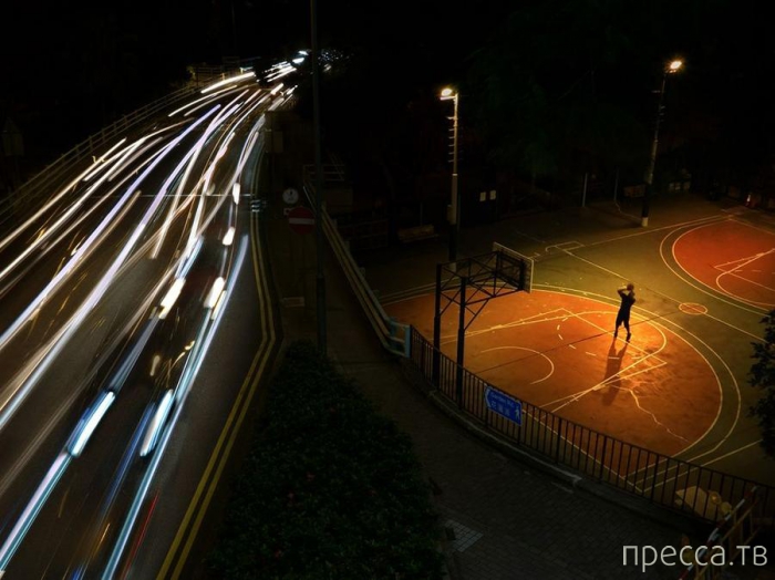 ������ ���������� National Geographic �� �������� 2013 (31 ����)