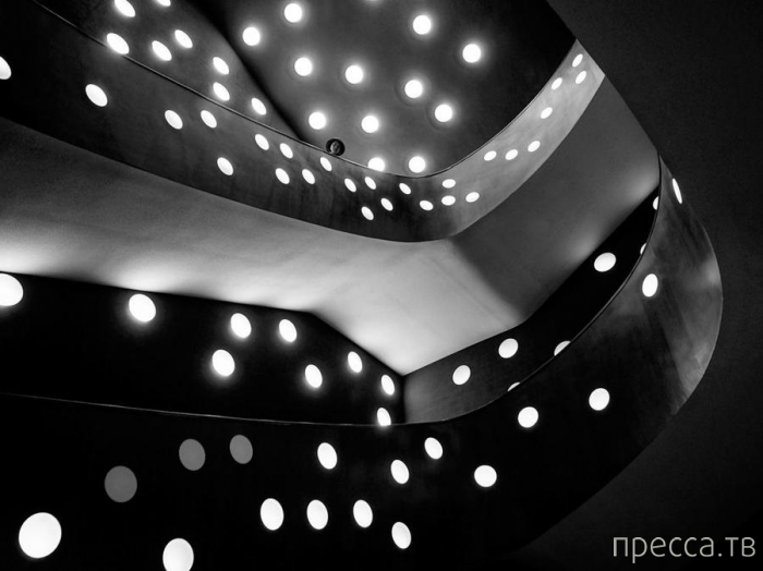 ������ ���������� National Geographic �� �������� 2013 (31 ����)