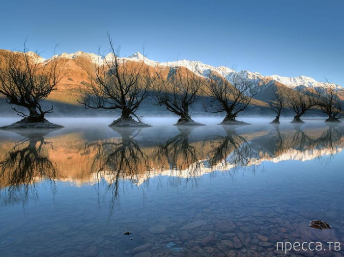 ������ ���������� National Geographic �� �������� 2013 (31 ����)