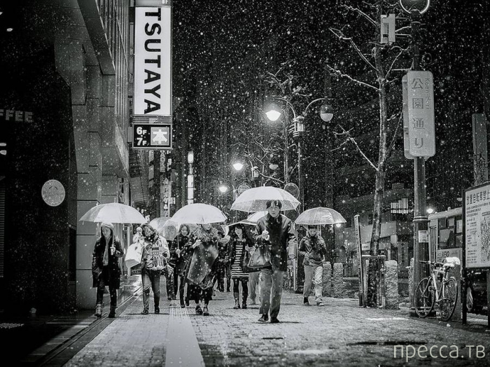 ������ ���������� National Geographic �� �������� 2013 (31 ����)