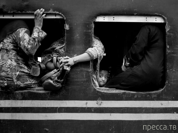 ������ ���������� National Geographic �� �������� 2013 (31 ����)