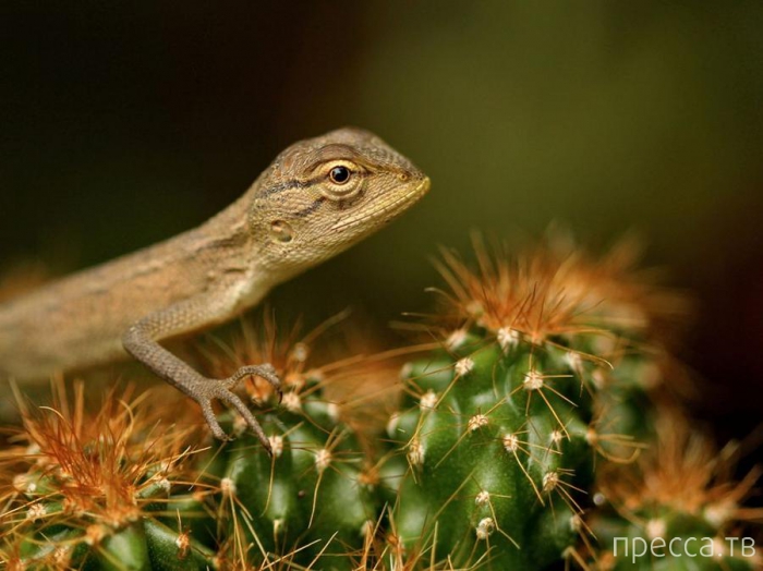 ������ ���������� National Geographic �� �������� 2013 (31 ����)