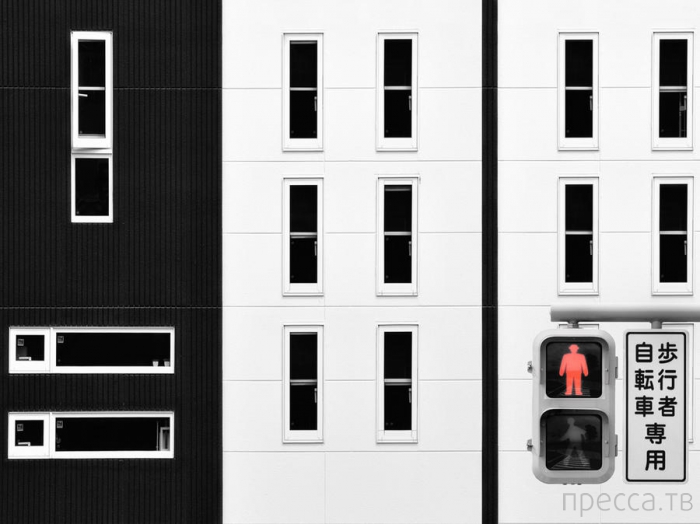 ������ ���������� National Geographic �� �������� 2013 (31 ����)