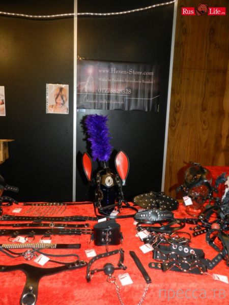 (18+) ���������� ��������� ������� - Venus 2013 (37 ����)