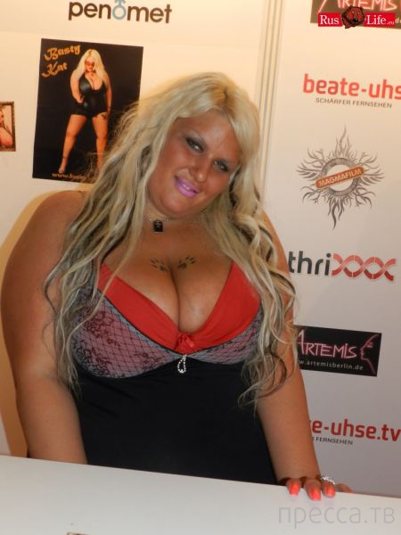 (18+) ���������� ��������� ������� - Venus 2013 (37 ����)