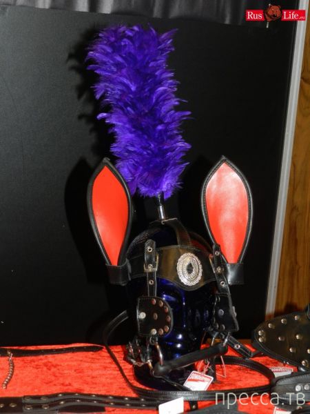 (18+) ���������� ��������� ������� - Venus 2013 (37 ����)