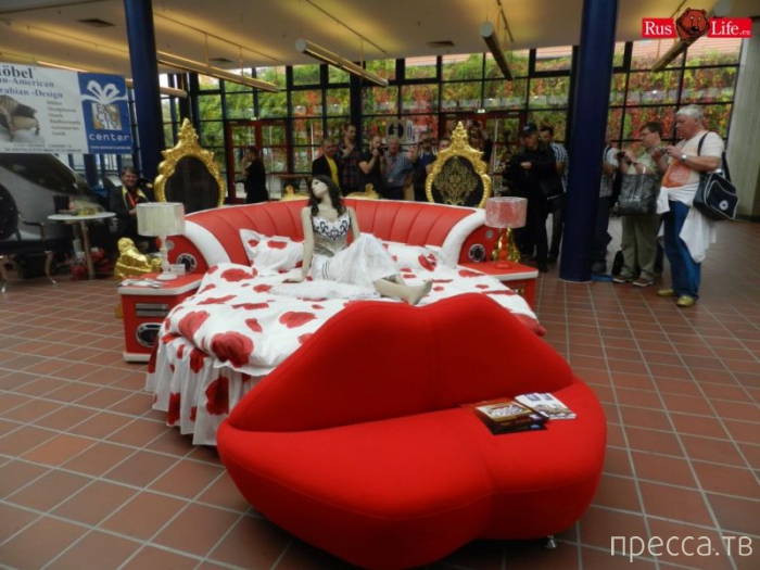 (18+) ���������� ��������� ������� - Venus 2013 (37 ����)