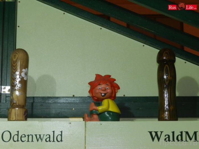 (18+) ���������� ��������� ������� - Venus 2013 (37 ����)