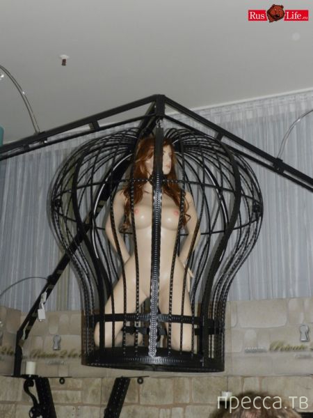 (18+) ���������� ��������� ������� - Venus 2013 (37 ����)