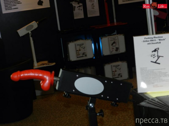 (18+) ���������� ��������� ������� - Venus 2013 (37 ����)