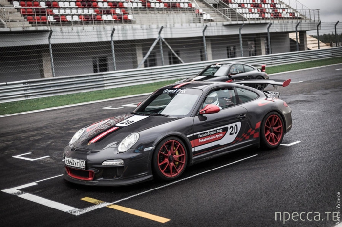   Porsche 2013 (36 )