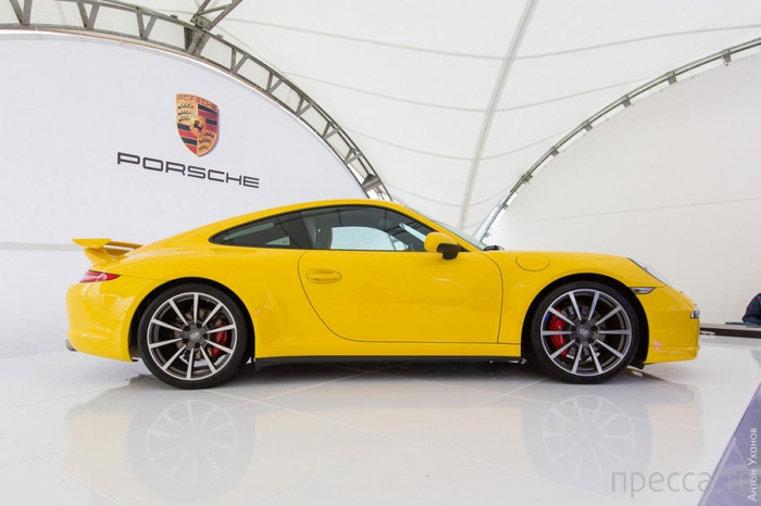   Porsche 2013 (36 )