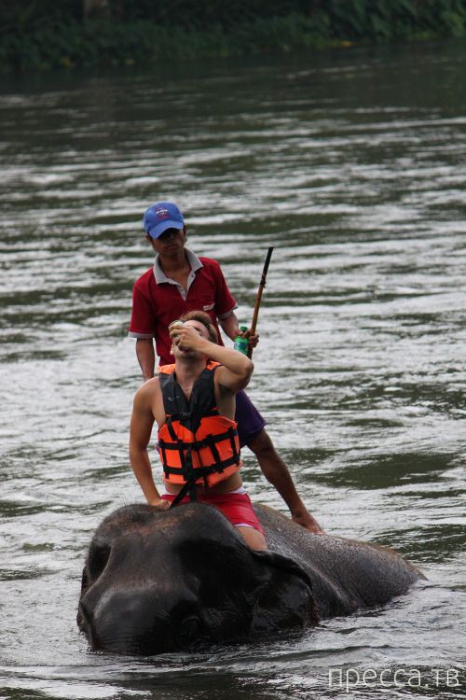 �������� ���������� ���������� ������ ����� �� ���������� ����� (23 ����)