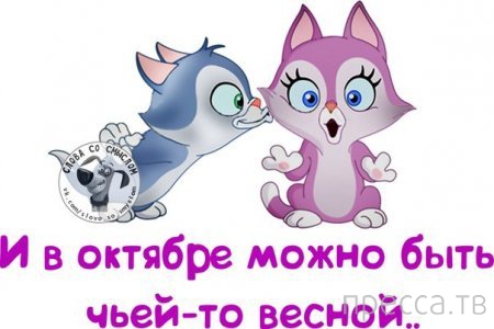 ���������� �������� � ����� �� ������� (13 ����)