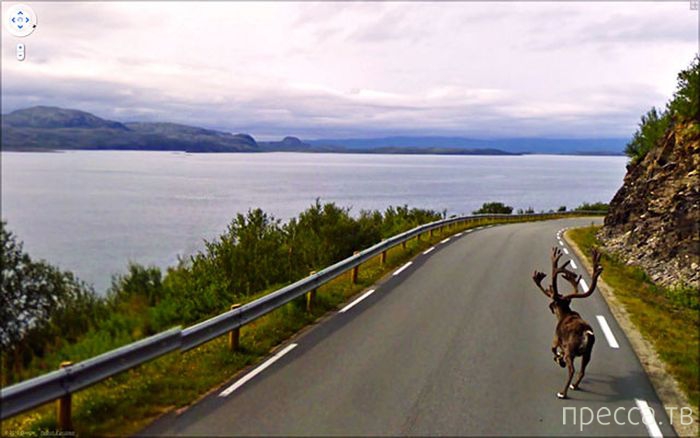    Google Street View (23 )