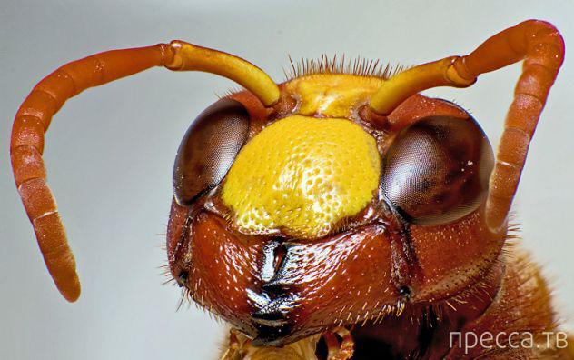 ��� 11: �������� ��������, �� ������� ����� ������ ������������ ��������� (11 ����)