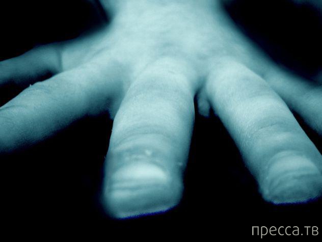 ��� 11: �������� ��������, �� ������� ����� ������ ������������ ��������� (11 ����)