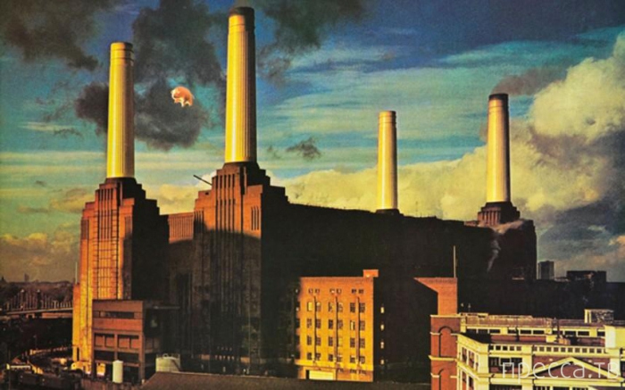 Pink Floyd -   (21 )