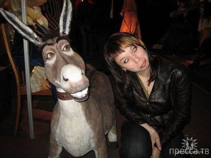 ����� �� ���������� �����, ����� 3 (42 ����)