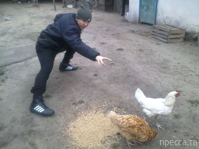 ����� �� ���������� �����, ����� 3 (42 ����)