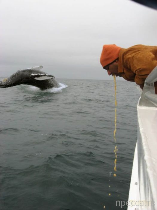 Смешные картинки ихтиандр