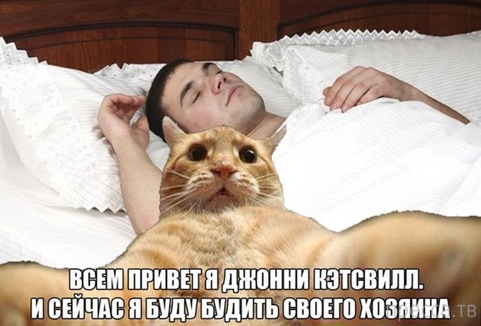 ������ �������� - ����� ���������� ��������-��� (42 ����)