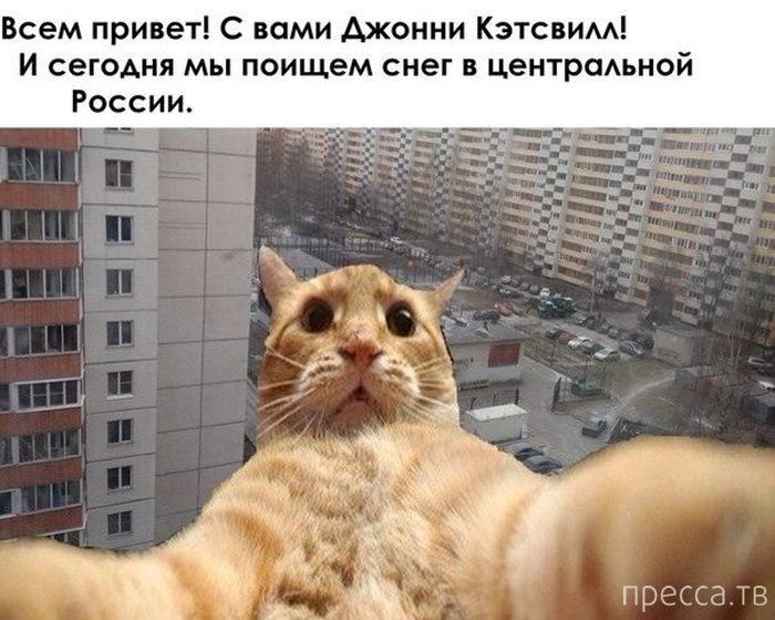 ������ �������� - ����� ���������� ��������-��� (42 ����)