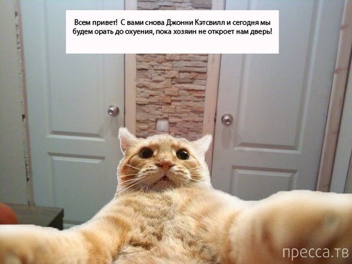 ������ �������� - ����� ���������� ��������-��� (42 ����)