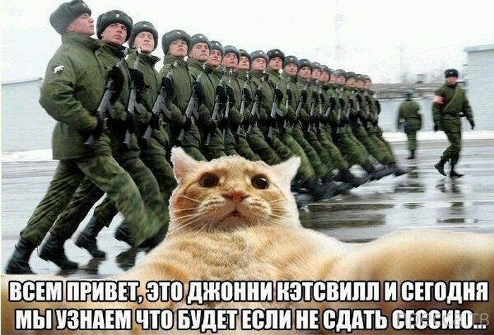 ������ �������� - ����� ���������� ��������-��� (42 ����)