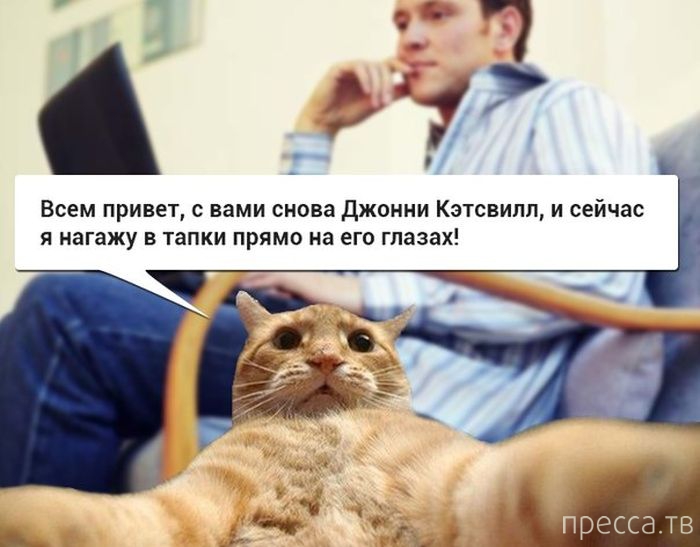 ������ �������� - ����� ���������� ��������-��� (42 ����)