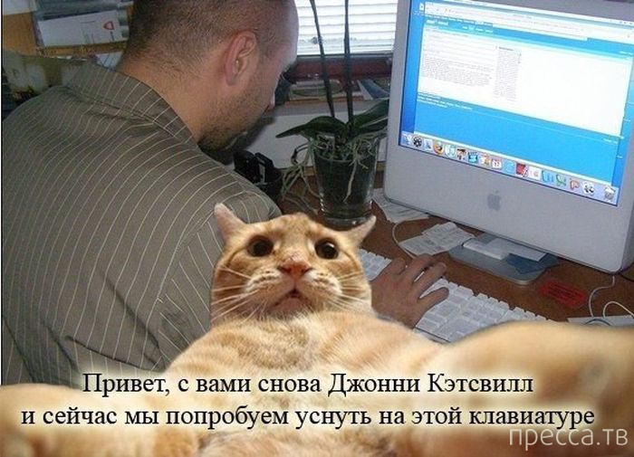 ������ �������� - ����� ���������� ��������-��� (42 ����)