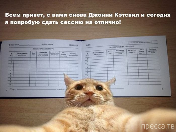 ������ �������� - ����� ���������� ��������-��� (42 ����)