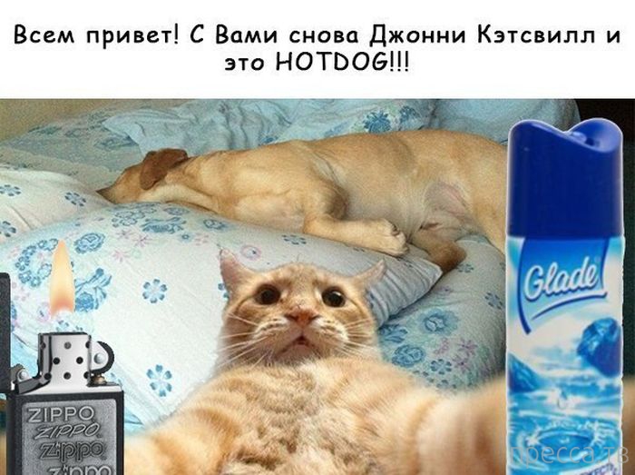 ������ �������� - ����� ���������� ��������-��� (42 ����)