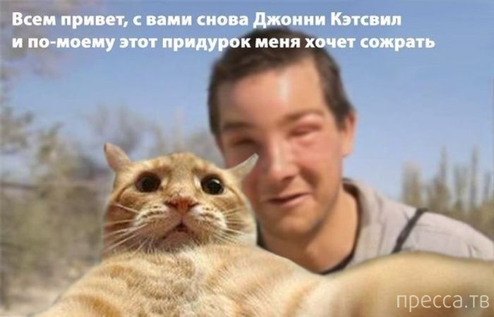 ������ �������� - ����� ���������� ��������-��� (42 ����)