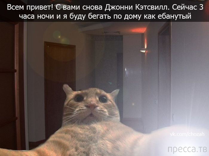 ������ �������� - ����� ���������� ��������-��� (42 ����)