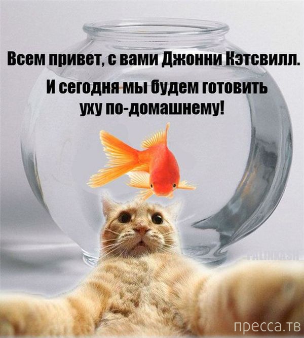 ������ �������� - ����� ���������� ��������-��� (42 ����)