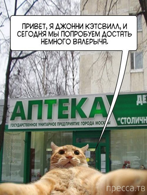 ������ �������� - ����� ���������� ��������-��� (42 ����)