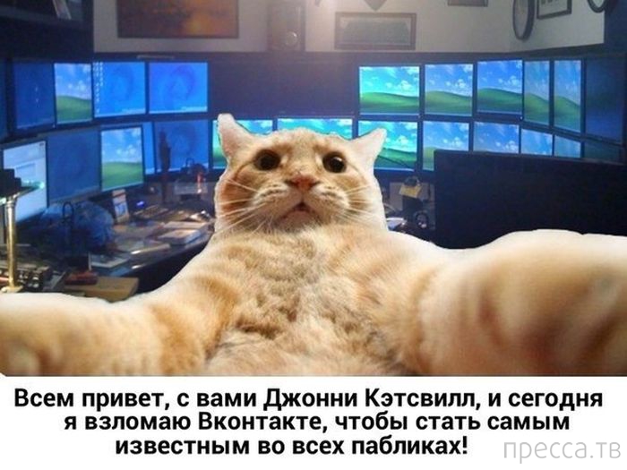 ������ �������� - ����� ���������� ��������-��� (42 ����)