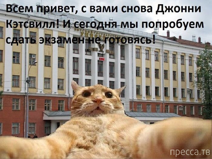 ������ �������� - ����� ���������� ��������-��� (42 ����)