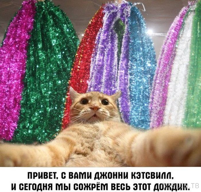 ������ �������� - ����� ���������� ��������-��� (42 ����)