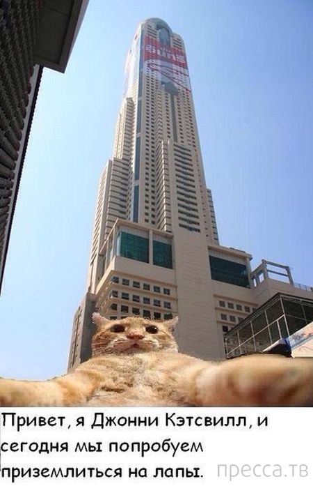 ������ �������� - ����� ���������� ��������-��� (42 ����)