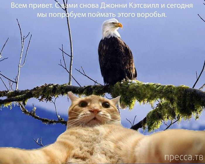 ������ �������� - ����� ���������� ��������-��� (42 ����)