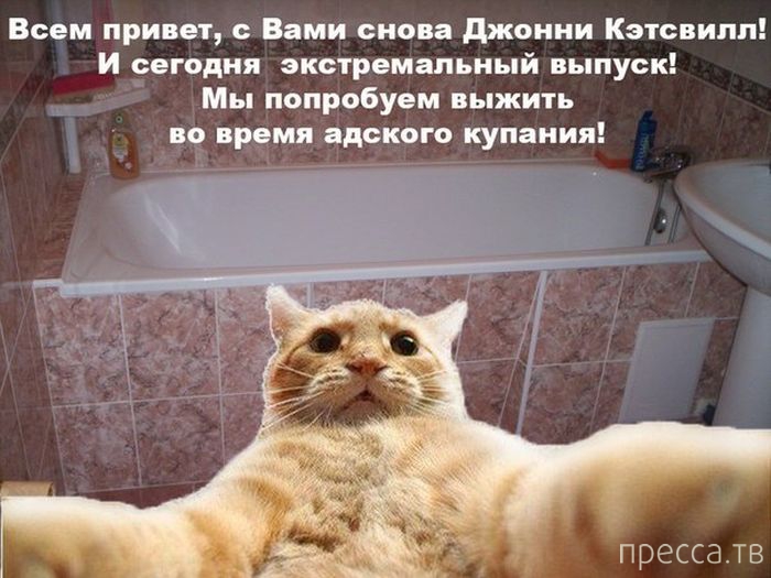 ������ �������� - ����� ���������� ��������-��� (42 ����)